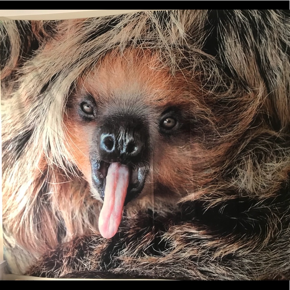Sloth Tapestry